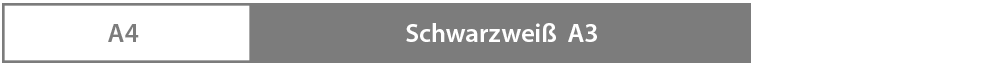 Canon imageRUNNER ADVANCE Schwarzweiß-Multifunktionssysteme
